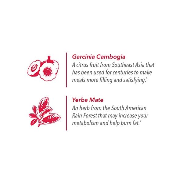 Javita Burn + Control Instant Coffee - Weight Management Herbs, Contains Garcinia Cambogia & Yerba Mate, Slimming Coffee with Help of Exercise, Keto Coffee, Dieters Drink, 24 (4.55g) Sticks