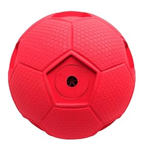 Nerf dog soccer ball dog toy with interactive squeaker lightweight durable and water resistant 4 inches for mediumlarge breeds single unit red   cucciolini doodles