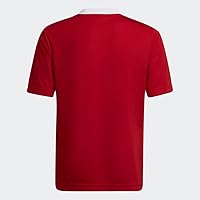 Vista 2 de adidas Entrada 22 - Camiseta para niños