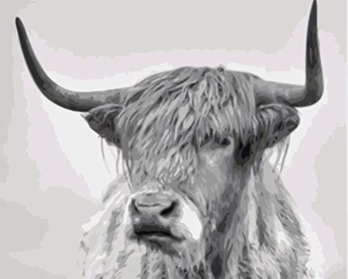 Malen Nach Zahlen Erwachsene,Schwarz-Weiß-Yak DIY Malen Nach Zahlen-Vorgedruckt Leinwand-Ölgemälde Geschenk für Erwachsene Kinder Paint by Numbers Kits zur Home Dekor 50x40cm Cover