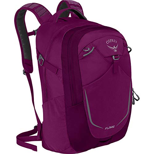 Osprey Packs Flare Backpack