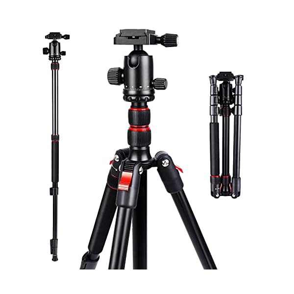 Kamerastativ Fotostativ faltbar Kamera Handy Stativ Dreibeinstativ Tripod aus Aluminium, 160cm Tragfähigkeit bis 8KG mit…