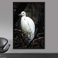 Framed Canvas Wall Art Single Bird Birds Expressive Farmhouse/Country Multicolor Photography Portrait Single - 16x24 inches