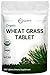 Sustainably US Grown, Organic Wheat Grass Powder, 1 Pound (16 Ounce), Rich in Fibers, Chlorophyll, Fatty Acids and Minerals, No GMOs and Vegan Friendly
