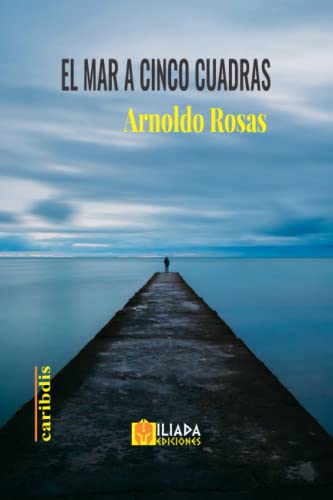 El mar a cinco cuadras (Spanish Edition)