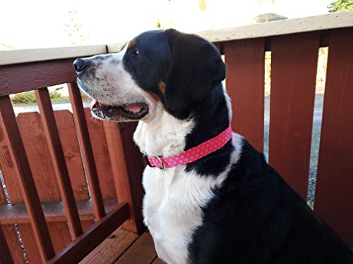Buttonsmith Pink Dots Dog Collar - Made In The Usa - Fadeproof Permanently Bonded Printing, Military Grade Rustproof Buckle, Choice Of 6 Sizes #TOP4