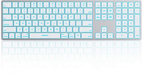 Wireless Bluetooth Rechargeable Keyboard,7-Color Custom Light-Up Keys,Slim Body,With Numeric Keypad Compatible With Apple Mac, Imac, Macbook Pro/Air, Mac Mini, Silver Grey #TOP7