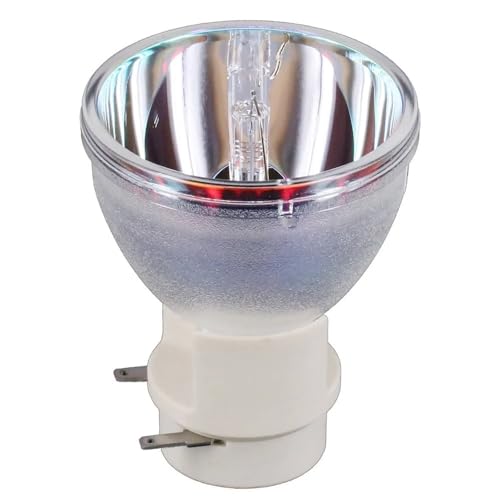 Module de lampe RLC-061 haute performance pour vidéoprojecteur Pro8500