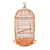 Parque de atracciones para pájaros pequeños: Parque de atracciones de juego y descanso de pájaros lindos. para que tu pájaro pueda jugar feliz sin aburrirse.