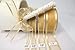 AmoreCreations 5/8 Inch x 25yds Organza Ribbon with Satin Trim for Wedding Baby Shower Gifts DIY Bows Craft Dancer Wands and More - Colors Guaranteed by AmoreCreations (Light Gold)