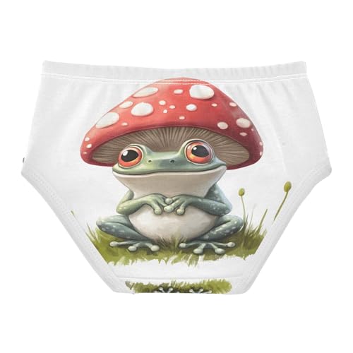 Cute Frog Mushroom Toddler Girls's Underwear 2T 202b89622