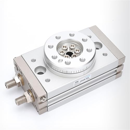 Cylindre rotatif MSQB double action avec amortisseur interne MSQB-1A - 6