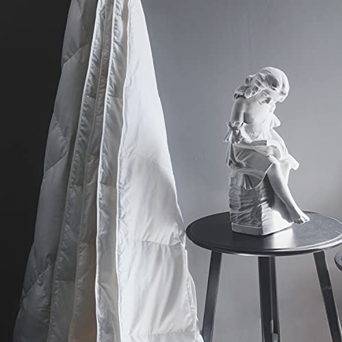 Royoliving Premium Lightweight Greyduck Feathers Down Comforter Luxurious Summer Cooling Down Blanket White Duvet Insert King Size 100% Cotton Cover With Coner Tabs #TOP2