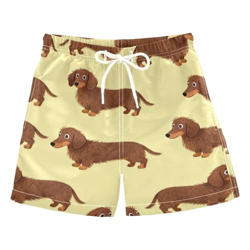 miaozhen Pantalones cortos de playa para niño, diseño de perro salchicha, color marrón, ropa de playa para jóvenes, ligero (palabra de la suerte), Lindo perro salchicha marrón, 3 años