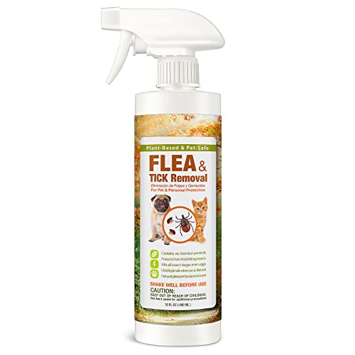 10 Best Flea Spray For Dogs And Cats Of 2024, Tested & Reviewed Guyana News and Information