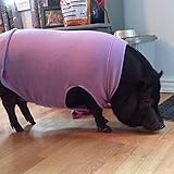 Gooby Hundeweste für kaltes Wetter, Stretch-Fleece, Größe 4XL, Stahlblau
