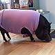 Gooby Hundepullover aus Stretch-Fleece, Warmer Pullover, Fleece-Hundejacke, Winter-Hundekleidung für kleine, große Hunde, Jungen oder Mädchen, weiche, super Dehnbare Fleece-Weste, Hundepullover,