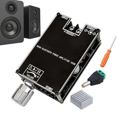 Module amplificateur audio sans fil mono 100W accessoire subwoofer home studio live