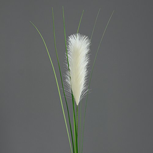 DPI - Cespuglio decorativo di pampas, 97 cm