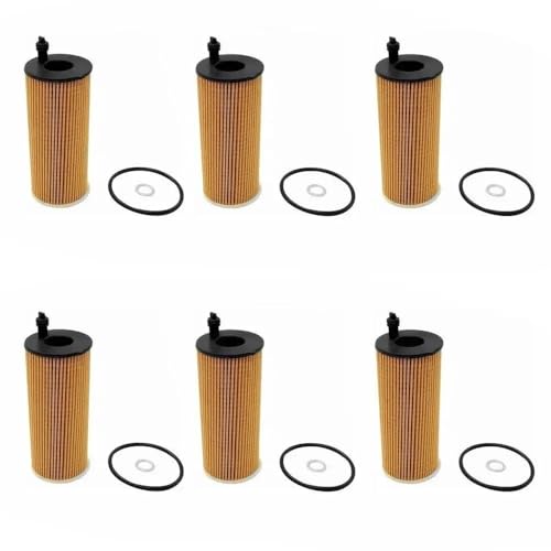 X3 �p F25 F30 X4 F26 5 F10 LCI 2 F22 1' F20 6/3/1 �Z�b�g �Ԏ� �G���W���I�C���t�B���^�[ �����ԗp�I�C���t�B���^�[(6Pcs)