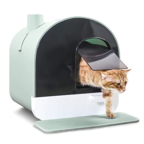 Top 10 Best Odor Eliminating Litter Box Reviews & Buying Guide Katynel