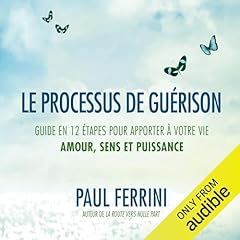 Couverture de Le processus de guérison. Guide en 12 étapes pour apporter à votre vie amour, sens et puissance