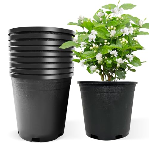 Srehloe 2 Gallon Pots for Plants Plastic Nursery Pots with Drainage Holes Garden Flower Pots Suitable for Cuttings Flowers Succulents Transplanting Seedlings Home Garden 10Pcs