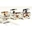 6pcs Arthropods Animals in Gift Box