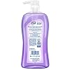 Dial-Body-Wash-Lavender-Jasmine-32-Fluid-Ounces-Pack-May-Vary Dial Body Wash, Calm & Soothe Lavender & Jasmine Scent, 32 fl oz