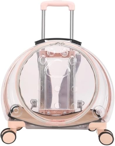 Farigrut LX^[tybgg[gALpg[gAApg[gAybgL[AobNpbNA^A^AobOJ[gAyʁAʋCALX^[tpL[obOA@\AoobOAԁAhCuALvAsA (ubN)