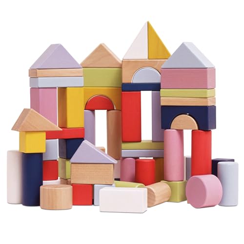 Image of Le Toy Van - Educational Wooden Building Blocks 60 Piece Set Toy | Montessori Style Shape & Colour Development Toy - Suitable for 12 Months + (PL135)