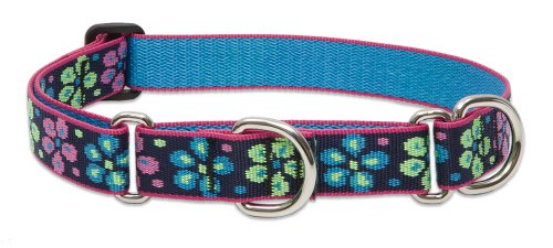 Top lupine martingale dog collar for 2022