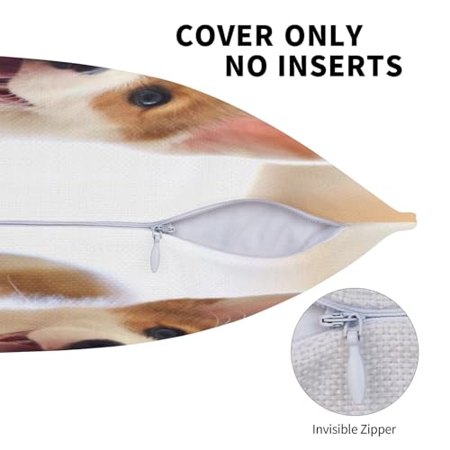 Taies d'oreiller Corgi lot de 2 housses de coussin décoratives aspect lin 45x45