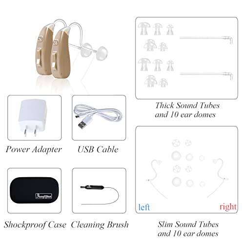 Banglijian Hearing Aid Ziv-201A Rechargeable Digital Noise Cancelling Small Size (Pair)