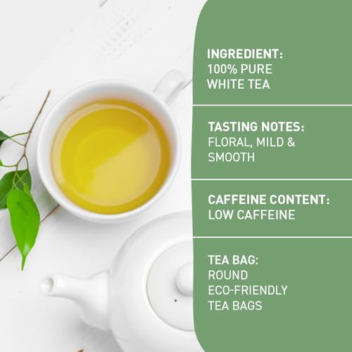 Handpick Organic White Tea - 100 Tea Bags | Usda Organic thumb #1