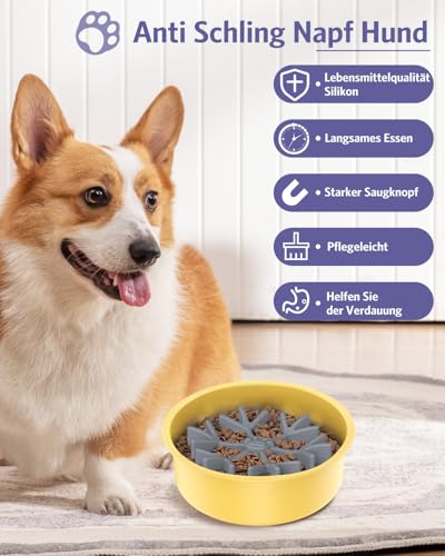 OQIMAX Anti Schling Napf Hund, Slow Feeder Hundenapf Einfügung, Langsame Fütterung mit Saugnapf für Hunde Katzen, Anti-Choke Kieselgel Hundenäpfe Einfügen, Entlastet die Verdauung, Überessen