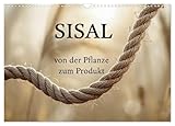 SISAL - von der Pflanze zum Produkt (Wandkalender 2027 DIN A3 quer), CALVENDO Monatskalender: Vom Feld zur Faser