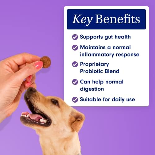 Petlab Co. Probiotic Chews  Support Gut Health, Itchy Skin, And Yeast Build Up - Probiotics for dogs - Packed With Healthy Bacteria - Promote Gut Health Easily