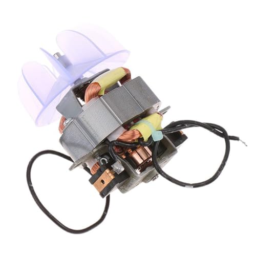 Conjunto de motor de reparación para secadora de metal 2000W - 2300W