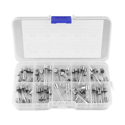 Set de 60 Fusibles de Vidrio de Acción Rápida en Estuche para Protección de Circuitos miniatura 1