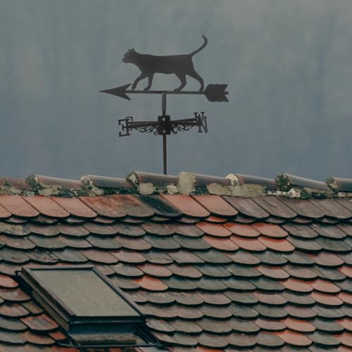 Veleta de viento de gato resistente en acero negro para jardín 3