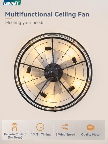 Image of LEDIARY 30 inch Caged Low Profile Ceiling Fan with Light and Remote Black