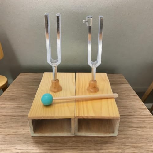 Diapason accessoires de rechange et outils d'expérimentation pour école