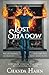 Lost Shadow (The Neverwood Chronicles)