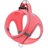 Joytale Instapharnas voor honden, reflecterende ademende tuigjes uit zachte mesh, Easy Walk-harnas met veiligheidsgesp voor extra kleine en kleine honden, S, paars Joytale Instapharnas voor honden, reflecterende ademende tuigjes uit zachte mesh, Easy Walk-harnas met veiligheidsgesp voor extra kleine en kleine honden, S, paars