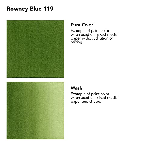 Image of Daler-Rowney FW Acrylic Ink Bottle (29.5ml, Sap Green-375)
