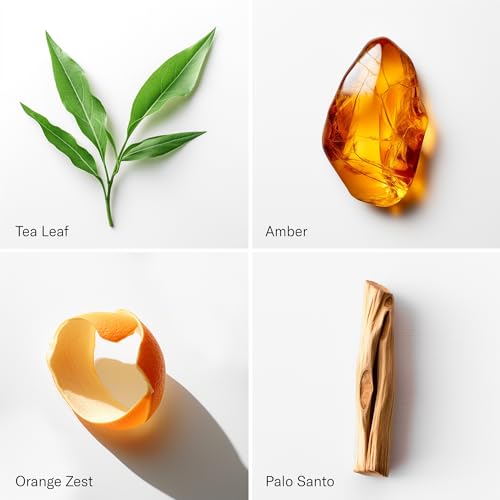 AromaTech White Tea Aroma Essential Oil Blend, Aromatherapy Diffuser Oil with Palo Santo and Cedarwood for Diffuser, Humidifier - 4 fl oz, 120 mL - Image 3