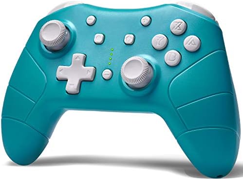 Nintendo lite pro controller Clearance