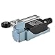 Heschen Endschalter HS-8108(TZ-8108) Verstellbarer Rollenhebel 10A 250VAC SPDT Momentary für CNC-Fräser Plasma IP65 (1)