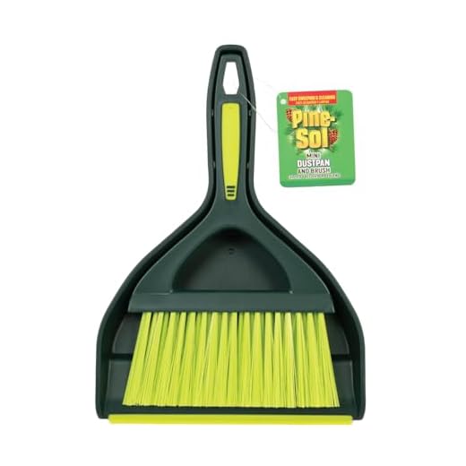 Pine-Sol Mini Dustpan and Brush Set | Nesting Snap-On Design | Portable, Compact Dust Pan and Hand Broom for Cleaning, Green